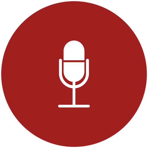 red mic icon - display only